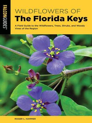 cover image of Wildflowers of the Florida Keys